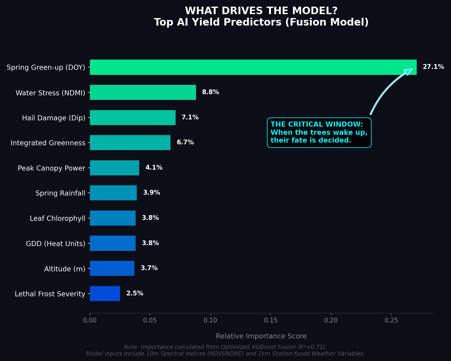 AI Feature Importance: Top Drivers